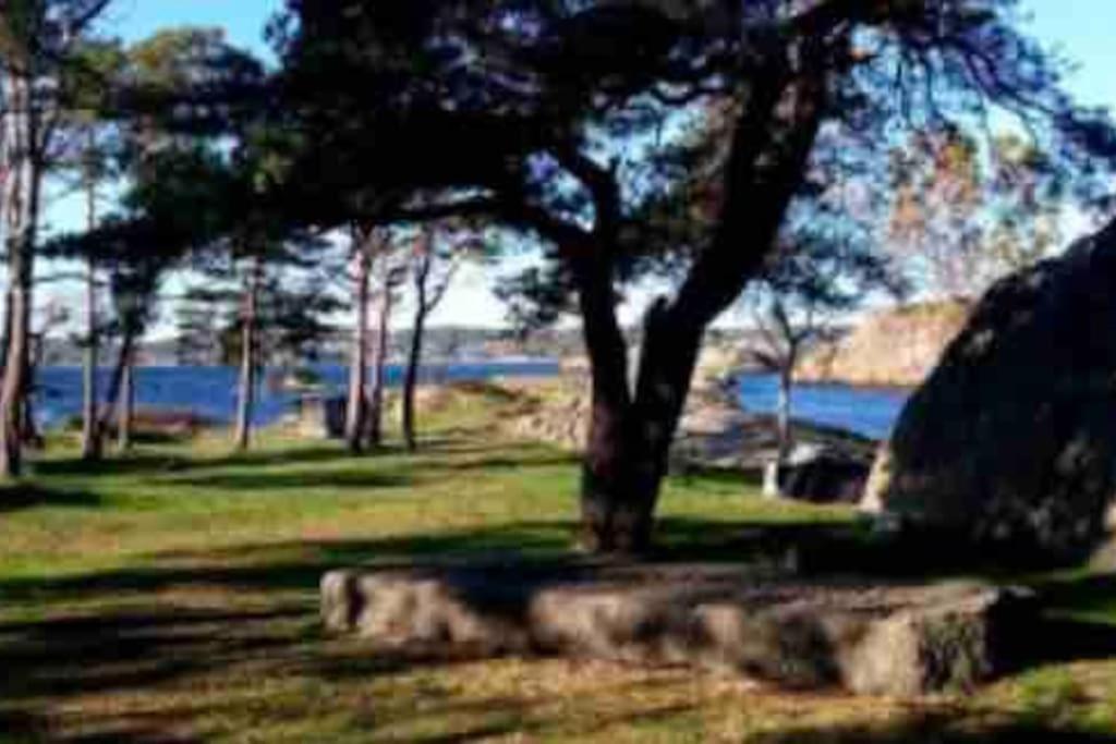 Idyllisk Lite Anneks Med Enestaende Uteplass Larvik Extérieur photo