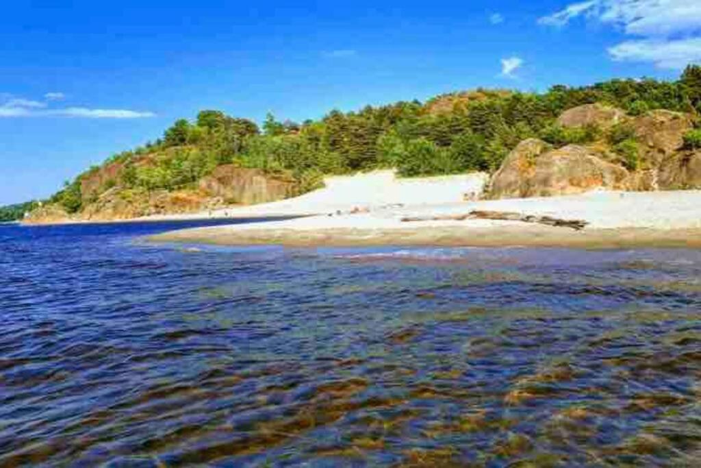 Idyllisk Lite Anneks Med Enestaende Uteplass Larvik Extérieur photo